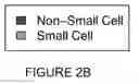 Fig. 04 - GENE EXPRESSION MARKERS OF ONCOLYTIC VIRUS SENSITIVITY