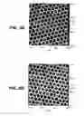 Fig. 07 - Self-encoding sensor with microspheres