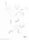 Fig. 10 - Efficient arrays of amplified polynucleotides