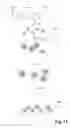 Fig. 12 - Efficient arrays of amplified polynucleotides