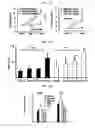 Fig. 16 - METHOD FOR THE DIAGNOSIS OF AGE-ASSOCIATED VASCULAR DISORDERS