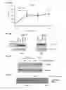 Fig. 17 - METHOD FOR THE DIAGNOSIS OF AGE-ASSOCIATED VASCULAR DISORDERS