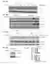 Fig. 24 - METHOD FOR THE DIAGNOSIS OF AGE-ASSOCIATED VASCULAR DISORDERS