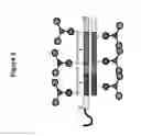 Fig. 03 - IDENTIFICATION OF NUCLEIC ACID DELIVERY VEHICLES USING DNA DISPLAY