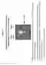 Fig. 12 - IDENTIFICATION OF NUCLEIC ACID DELIVERY VEHICLES USING DNA DISPLAY