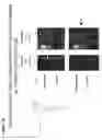 Fig. 17 - IDENTIFICATION OF NUCLEIC ACID DELIVERY VEHICLES USING DNA DISPLAY