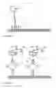 Fig. 04 - AMPLIFIED BIOASSAY