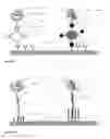 Fig. 06 - AMPLIFIED BIOASSAY