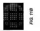 Fig. 12 - Integrated cartridge