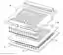 Fig. 01 - Microelectroporation device for genomic screening