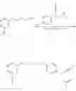 Fig. 30 - ARYLOXYALKYLENE-SUBSTITUTED HYDROXYPHENYLHEXYNOIC ACIDS, PROCESS FOR PREPARATION THEREOF AND USE THEREOF AS A MEDICAMENT