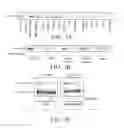 Fig. 03 - Materials and methods for treatment of cancer and identification of anti-cancer compounds
