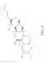 Fig. 08 - Materials and methods for treatment of cancer and identification of anti-cancer compounds