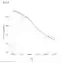 Fig. 10 - Method for treating skin aging by administration of bFGF