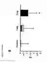 Fig. 08 - GH SECRETAGOGUES AND USES THEREOF