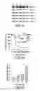 Fig. 04 - Inhibitors of NF-κB activity