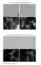 Fig. 01 - Biglycan mutants and related therapeutics and methods of use