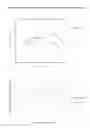 Fig. 10 - Biglycan mutants and related therapeutics and methods of use