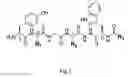 Fig. 02 - Method of producing a novel opioid peptide