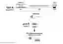 Fig. 01 - Targeted delivery system