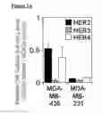 Fig. 03 - Targeted delivery system