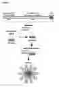 Fig. 28 - Targeted delivery system