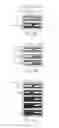Fig. 06 - Unnatural reactive amino acid genetic code additions