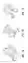 Fig. 08 - POLYPEPTIDE STRUCTURAL MOTIFS ASSOCIATED WITH CELL SIGNALING ACTIVITY