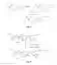 Fig. 06 - Heterobifunctional pan-selectin inhibitors