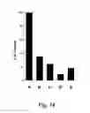 Fig. 23 - Heterobifunctional pan-selectin inhibitors