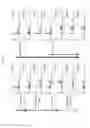 Fig. 11 - Combinational compositions and methods for treatment of cancer