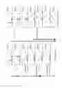 Fig. 12 - Combinational compositions and methods for treatment of cancer