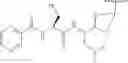 Fig. 206 - CYCLODEXTRIN-BASED POLYMERS FOR THERAPEUTIC DELIVERY