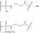 Fig. 28 - CYCLODEXTRIN-BASED POLYMERS FOR THERAPEUTIC DELIVERY