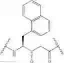 Fig. 76 - CYCLODEXTRIN-BASED POLYMERS FOR THERAPEUTIC DELIVERY