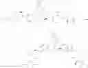 Fig. 750 - Anti-viral compounds