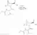 Fig. 769 - Anti-viral compounds
