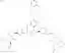 Fig. 856 - Anti-viral compounds