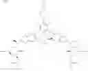 Fig. 887 - Anti-viral compounds