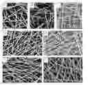 Fig. 01 - SCAFFOLDS