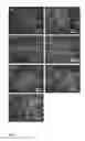 Fig. 06 - SCAFFOLDS