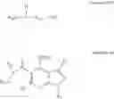 Fig. 18 - PHOSPHODIESTARASE INHIBITORS