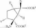 Fig. 27 - 2-amino-bicyclo[3.1.0] hexane-2, 6-dicarboxylic ester derivative