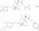 Fig. 65 - 2-amino-bicyclo[3.1.0] hexane-2, 6-dicarboxylic ester derivative