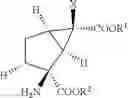 Fig. 66 - 2-amino-bicyclo[3.1.0] hexane-2, 6-dicarboxylic ester derivative