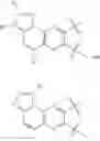 Fig. 05 - Inhibitors of Akt activity
