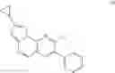 Fig. 162 - Inhibitors of Akt activity