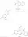 Fig. 190 - Inhibitors of Akt activity