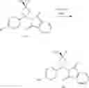 Fig. 208 - Inhibitors of Akt activity