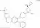Fig. 233 - Inhibitors of Akt activity